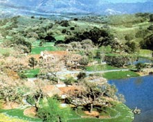 NEVERLAND