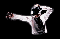 mj23